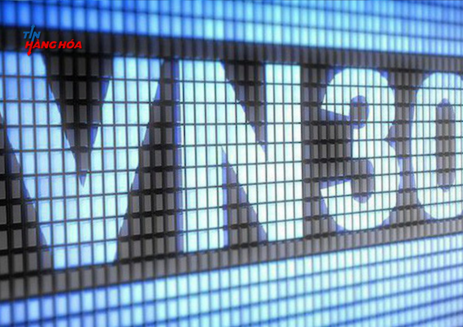 Những lưu &yacute; khi đầu tư v&agrave;o nh&oacute;m vn30